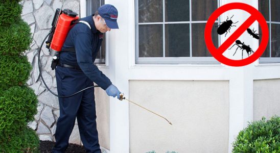 İmranlı Bit İlaçlama böcek ilaçlama ve haşere kontrolü — ilaclama-tr.com